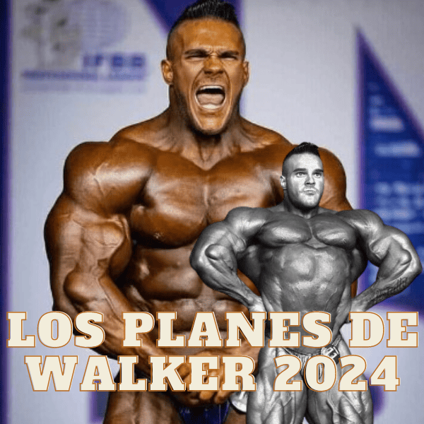 Los planes de Nick Walker para 2024