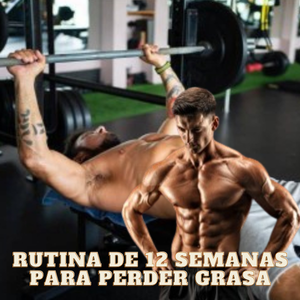 Rutina de entrenamiento 12 semanas para perder grasa abdominal