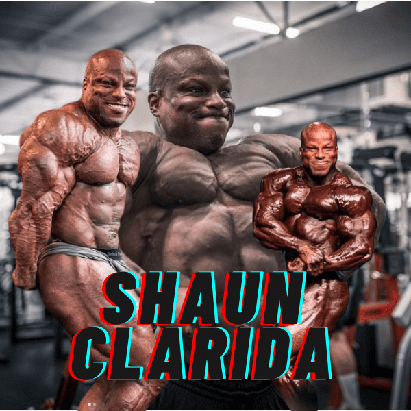 Todo sobre Shaun Clarida (actualizado)