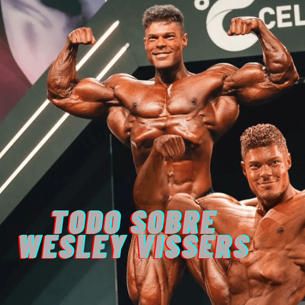 Todo sobre Wesley Vissers