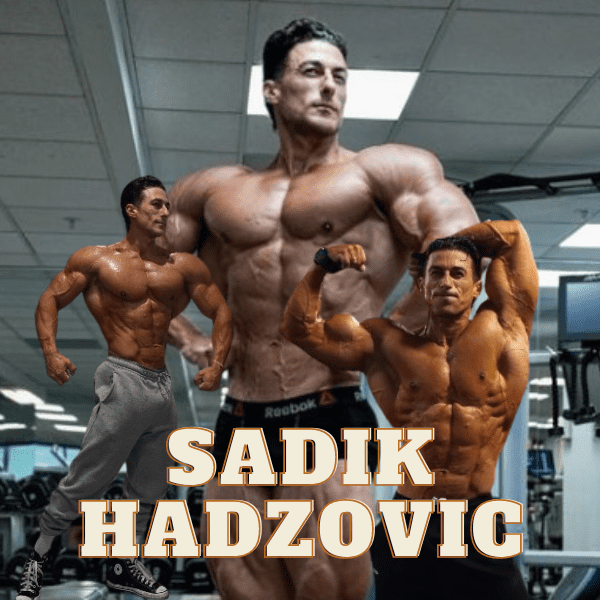 Perfil completo de Sadik Hadzovic 2024