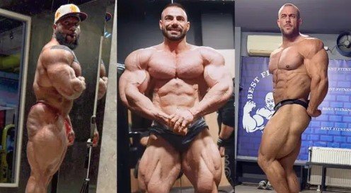 Competidores destacados en el Rumanía Muscle Fest PRO 2024